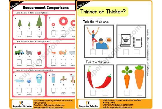 measurement worksheet