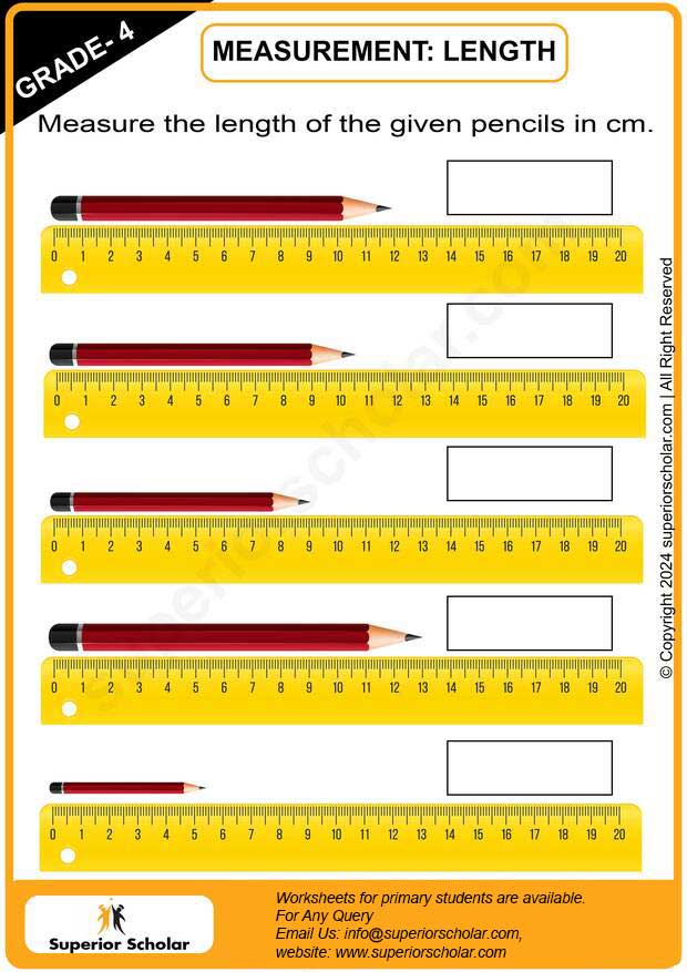 measurement worksheet